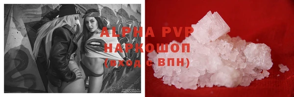 стаф Баксан